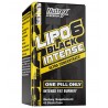 Lipo 6 Black INTENSE  60 Cap Nutrex