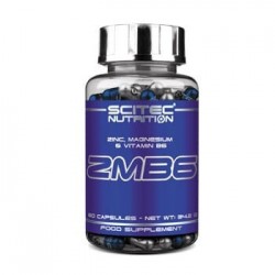 ZMB6  60 Cap Scitec