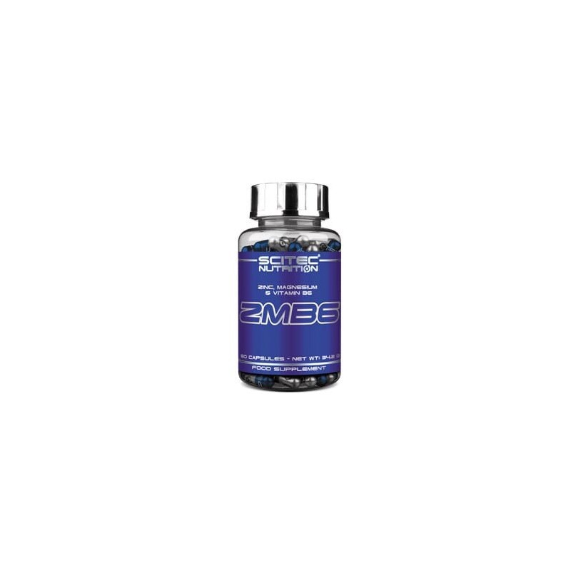 ZMB6  60 Cap Scitec